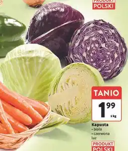 Intermarche Kapusta biała i czerwona luz oferta