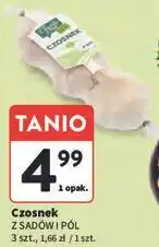 Intermarche Czosnek Z Sadów i Pól 3 szt oferta