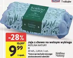 Intermarche Jaja z chowu na wolnym wybiegu KOTLINA NATURY oferta