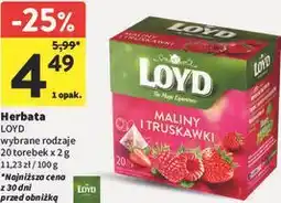 Intermarche Herbata LOYD wybrane rodzaje oferta