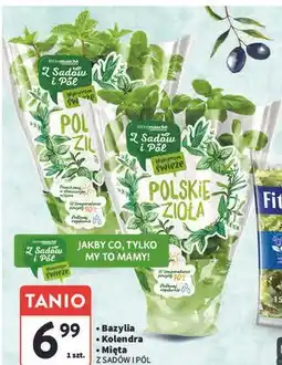 Intermarche Zioła Bazylia, Kolendra, Mięta Z Sadów i Pól oferta