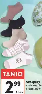 Intermarche Skarpety oferta