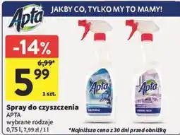 Intermarche Spray do czyszczenia APTA oferta