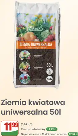 Dino Ziemia kwiatowa uniwersalna oferta