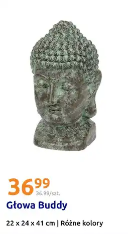 Action Głowa Buddy oferta