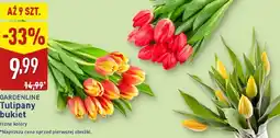 ALDI Bukiet tulipanów Gardenline oferta