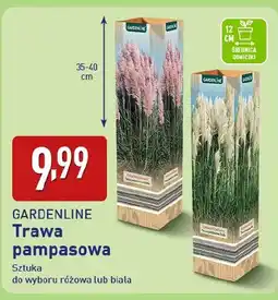 ALDI Trawa Gardenline oferta