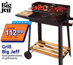 Action Grill oferta