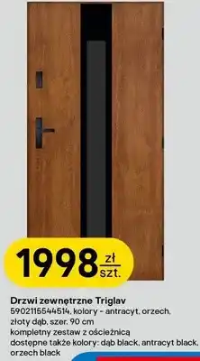 Castorama Drzwi zewnętrzne Triglav oferta
