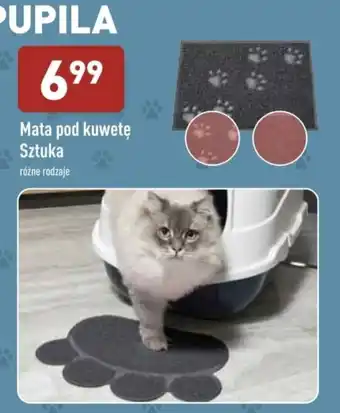 ALDI Mata pod kuwetę oferta