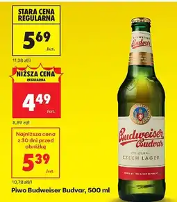 Biedronka Piwo Original Czech Lager oferta