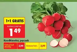 Biedronka Rzodkiewka oferta