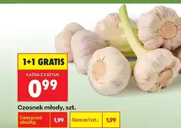 Biedronka Czosnek młody oferta