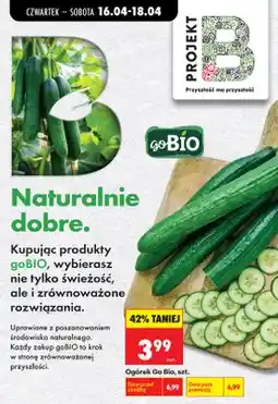 Biedronka Ogórek oferta