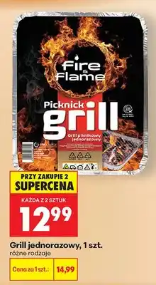 Biedronka Grill jednorazowy piknikowy oferta