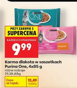 Biedronka Karma dla kota w saszetkach różne rodzaje oferta