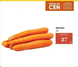 Biedronka Marchew luz oferta