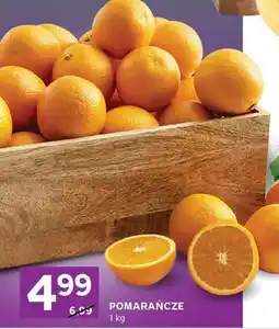 Stokrotka Pomarańcze oferta