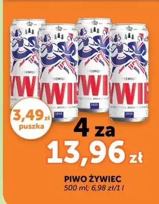 Piwo Żywiec