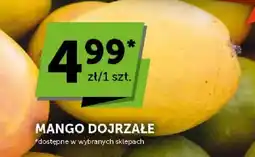 ABC Mango dojrzałe oferta