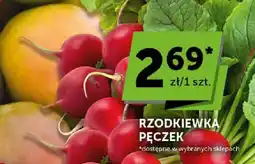 ABC Rzodkiewka pęczek oferta