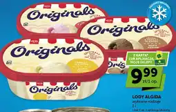 ABC Lody wybrane rodzaje oferta