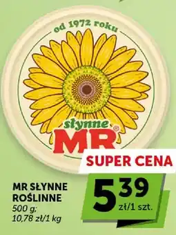 ABC MR słynne roślinne oferta
