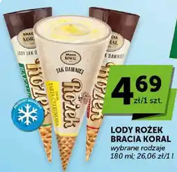 ABC Lody rożek wybrane rodzaje oferta