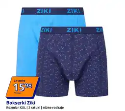 Action Bokserki Ziki oferta