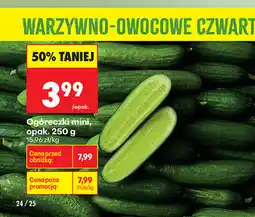 Biedronka Ogóreczki mini, opak oferta