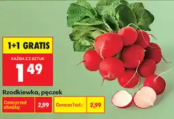 Biedronka Rzodkiewka, pęczek oferta