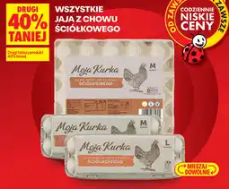 Biedronka WSZYSTKIE JAJA Z CHOWU ŚCIÓŁKOWEGO Moja Kurka oferta