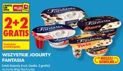 Biedronka WSZYSTKIE JOGURTY FANTASIA oferta