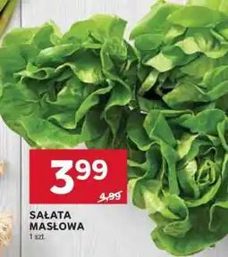 Stokrotka Market Sałata masłowa oferta
