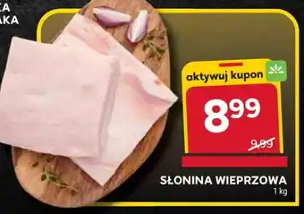 Stokrotka Market Słonina wieprzowa oferta