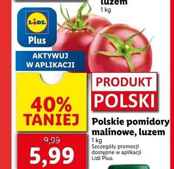 Lidl Polskie pomidory malinowe 1kg oferta
