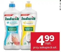 Stokrotka Market Ludwik Dishwashing Liquid oferta