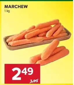 Stokrotka Market Marchew oferta