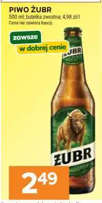 Stokrotka Market Piwo ŻUBR oferta