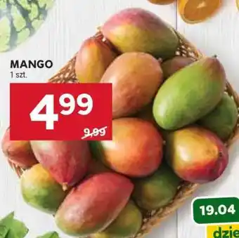 Stokrotka Market Mango oferta