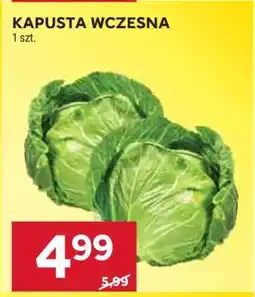Stokrotka Market Kapusta wczesna oferta