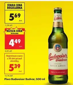 Biedronka Piwo Budweiser Budvar 500 ml oferta