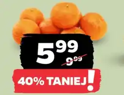 Netto Mandarynki oferta