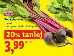 Lidl Polska botwina oferta