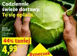Lidl KAPUSTA BIAŁA MŁODA oferta