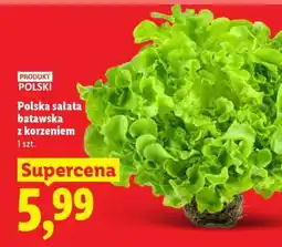 Lidl Polska sałata batavska z korzeniem oferta