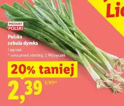 Lidl Polska cebula dymka oferta