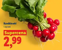 Lidl rzodkiewki oferta