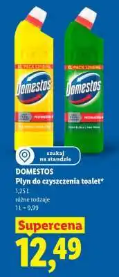 Lidl DOMESTOS oferta
