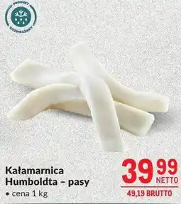 Makro Kałamarnica Humboldta - pasy oferta